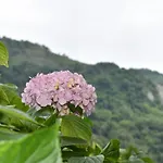 Del Alto Sella Hotel