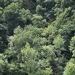 Del Alto Sella Amieva