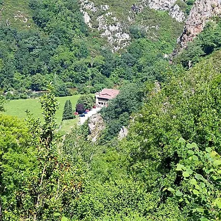Hotel Del Alto Sella Amieva