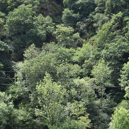 Del Alto Sella Amieva