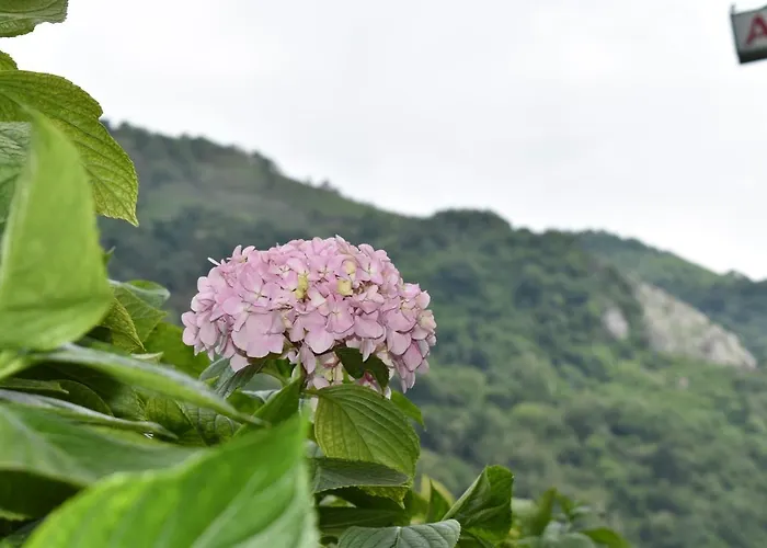 Del Alto Sella Hotel